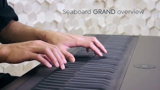 Seaboard GRAND Overview [upl. by Kata]