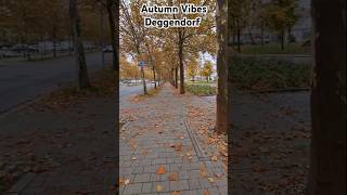 Autumn Vibes Deggendorf  Germany  Deutschland  Short Vedio  Nature  germany travel tourism [upl. by Peria620]