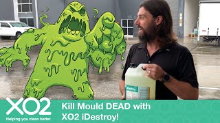 XO2  How to KILL MOULD DEAD using iDestroy [upl. by Annaet]