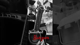 Dunkelheit  BURZUM  Acoustic cover [upl. by Akemehs]