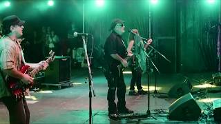 Las Pelotas  Siento Luego Existo  Rock en Baradero 2015 [upl. by Melva304]