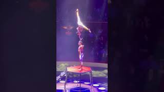 Cirque dHiver à Paris Le show le plus spectaculaire du moment shorts video youtubeshorts [upl. by Feilak]