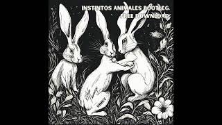 Kinky  Instintos animales White Flamingo Remix DESCARGA GRATIS [upl. by Tali181]