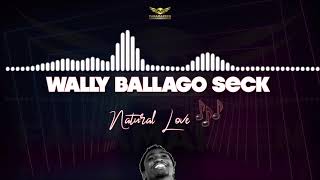 Wally B Seck  Natural Love Lyrics [upl. by Bledsoe]