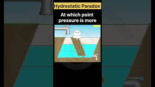 Hydrostatic Paradox shortsfeed pressure physics experiment practical education trending [upl. by Idoj837]