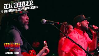 THE WAILERS at the WOW Hall show recap May 30 2024 [upl. by Hayotal]