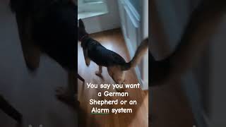 Warning GSD alarm system [upl. by Navy]