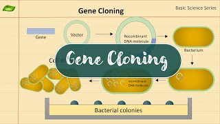 Gene Cloning  Introduction  Basic Science Series [upl. by Lekcar209]