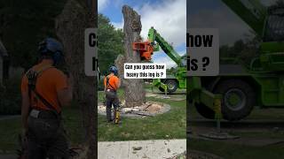 ⁠Collab with Higher Ground treeremoval treecare arborist arboriculture merlo chainsaw work [upl. by Dilaw22]