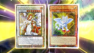 Yugioh Lightsworn Tearlaments Deck Profile [upl. by Haiasi746]