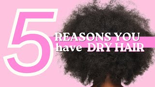 5 reasons your 4c hair stays dry [upl. by Yelsew]