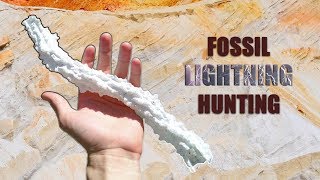 Finding STUNNING Fossil Lightning Strikes Fulgurites at a Sand Mine in Central Florida w SEGS [upl. by Lindo187]