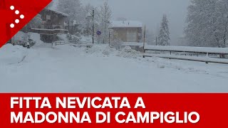 LIVE Fitta nevicata a Madonna di Campiglio diretta video [upl. by Barthold578]