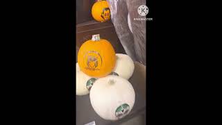 Type Of Pumpkin 🎃  Subhana Allah  سبحان الله وبحمده [upl. by Nilcaj]