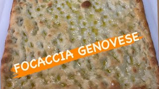 FOCACCIA GENOVESE ORIGINALE ricetta tipica ligure con poco lievito [upl. by Wrand]