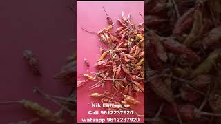 Bird Eye Chilli longimirch birdeyechilli tejachilli gunturchilli nikenterprise abhijitroy [upl. by Anide]