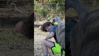 Danny Duncan Gets Bit By His Emu [upl. by Alba]