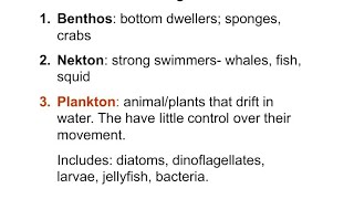 Plankton Nekton and benthos [upl. by Caras]