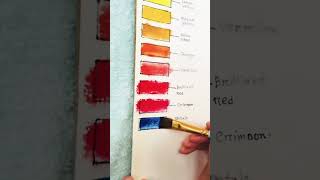 Mont marte acrylic paint 18 pc color swatch music song colortone [upl. by Berk]