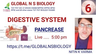 Digestive system Lecture 6 [upl. by Sergio34]