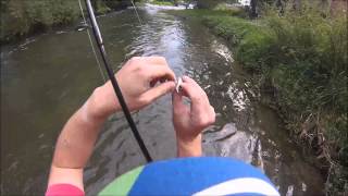 Luxembourg Fishing Alzette LUXurious river [upl. by Anrehs]