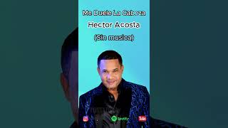 Hector Acosta 🎤 Me Duele La Cabeza 🎤 Sin musica musica rancheras bachata romanticas [upl. by Valonia]