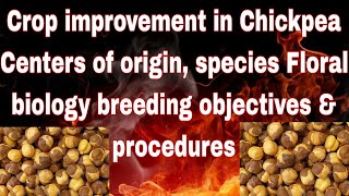 Crop improvement in Chickpea Centers of origin species Floral biology breeding objectivesampprocedures [upl. by Anelat]