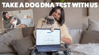 Take a wisdom panel DNA test with us [upl. by Darahs]