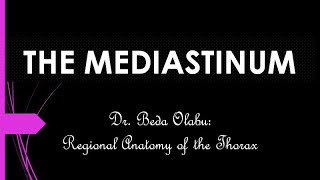 DIVISIONS amp CONTENTS OF THE MEDIASTINUM [upl. by Daph]