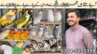 Rawalpindi College Road Birds Market  Birds New Prices 2024  Imran Birds birdshouse youtube [upl. by Felita906]