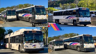 New Jersey Transit Bus Compilation in Weehawken NJ 2 [upl. by Innavoeg]