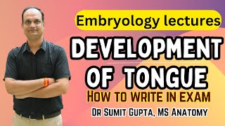 Development of tongue [upl. by Yedoc]