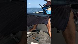 Monster Fish  How did he Get it shorts fishing billfish sailing ocean new today boat new [upl. by Naloc261]