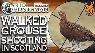 Walked Up Grouse Shooting in Scotland [upl. by Ralleigh]