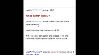 LTM Protein synthesis [upl. by Nessa]