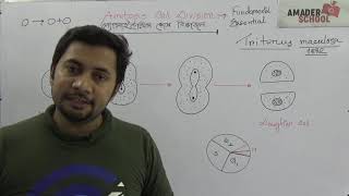 Amitosis Cell Division  অ্যামাইটোসিস কোষ বিভাজন ।। HSC Botany Chapter 3 [upl. by Ajnotal]