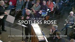 vocaal ensemble Chaverim Musselkanaal olv Klaas Withaar Spotless rose  Ola Gjeilo HD 1080p [upl. by Hakon]