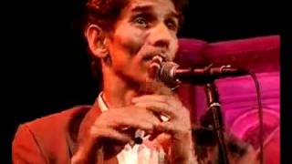 TARAF DE HAIDOUKS Live at Union Chapel Briu [upl. by Sunil914]