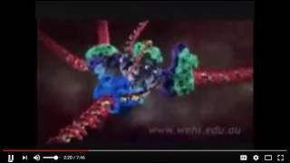 DNA Replication Animation [upl. by Redmund179]