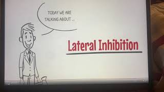 Lateral Inhibition [upl. by Manaker]