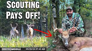 Scouting Pays Off How Moultrie Mobile Helped Me Tag a Big Buck [upl. by Cass]