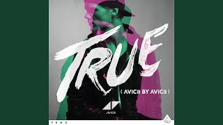 ◢ ◤ Avicii  Hey Brother Lyrics Video [upl. by Delogu]