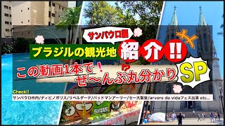 【2022年最新版】ブラジル旅行者必見！サンパウロ市内や周辺地域の現在はこうなっている！ ブラジル旅行 ブラジル観光 2022年 [upl. by Norvil]