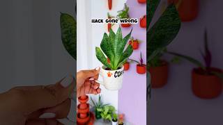 Hack Gone Wrong 😱 diy craft plants art [upl. by Huff]