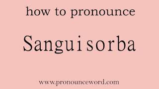 Sanguisorba How to pronounce Sanguisorba in english correct Start with S Learn from me [upl. by Ondrej898]