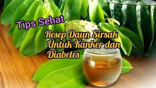 Resep Daun Sirsak Untuk Kanker dan Diabetes [upl. by Neve]