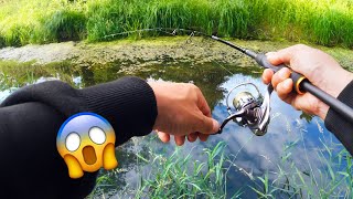 BARSCHANGELN in kleinen Flüssen 🐟 beste Stellen und Köder 🎣🔥👍🏼 [upl. by Guadalupe]