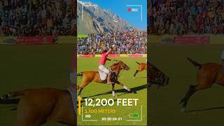 The Worlds Highest Polo Field polo facts worldrecord [upl. by Anna]