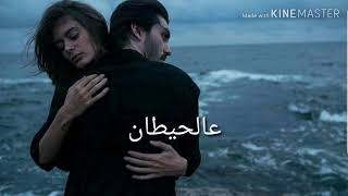 Adonis  Shayef lyrics أدونيس  شايف كلمات [upl. by Miltie186]