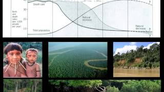 GCSE  Population Dynamics  Demographic Transition Model [upl. by Yetac]